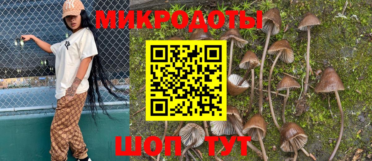 Галлюциногенные грибы MAGIC MUSHROOMS Жуковский